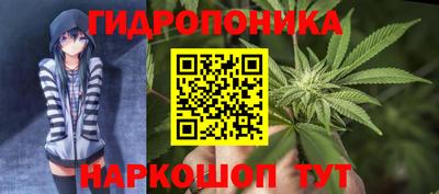 дживик Донецк
