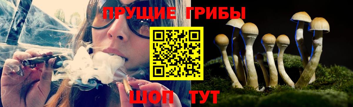 Псилоцибиновые грибы мухоморы  Вход с VPN  Псилоцибиновые грибы Psilocybine cubensis  Железноводск 